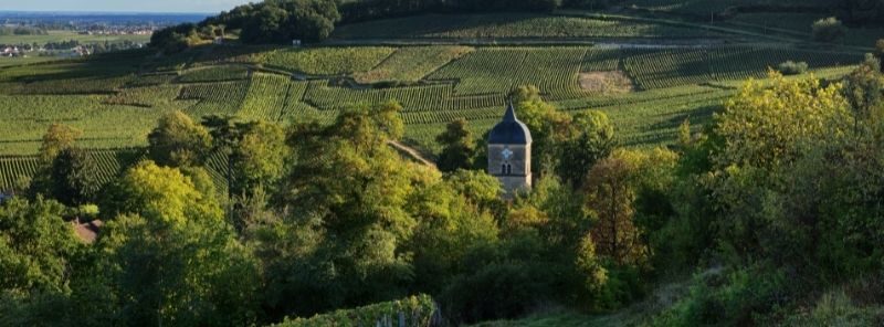 2019 Domaine Faiveley