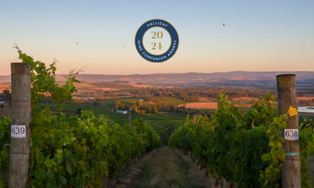 New Halliday Award-Winners on Special!