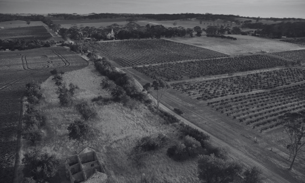 Henschke Unveil Their 2021 Single Vineyard Reds + Estate Range on Tasting!