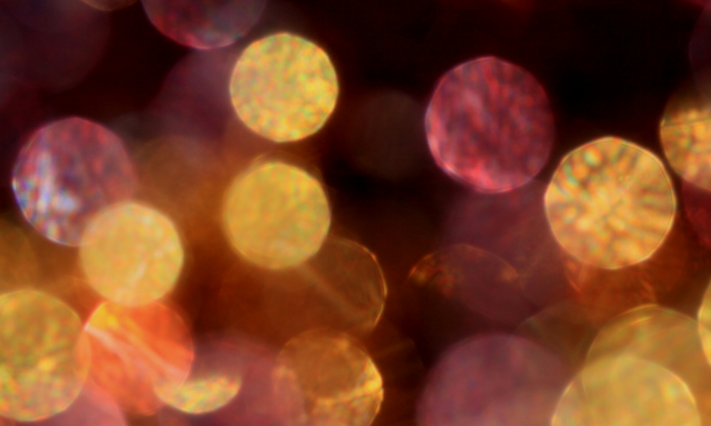 Christmas/New Year Opening Hours