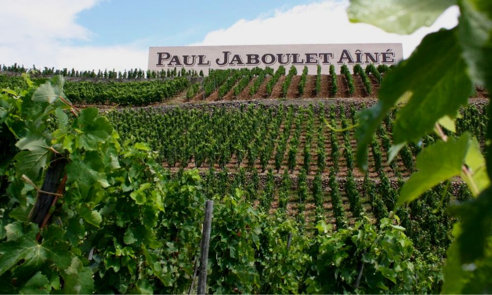 Domaine Paul Jaboulet Aîné - 2020 Vintage is Here!