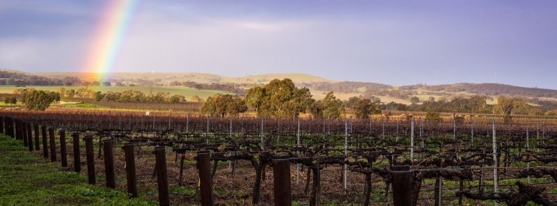 Jim Barry New Releases