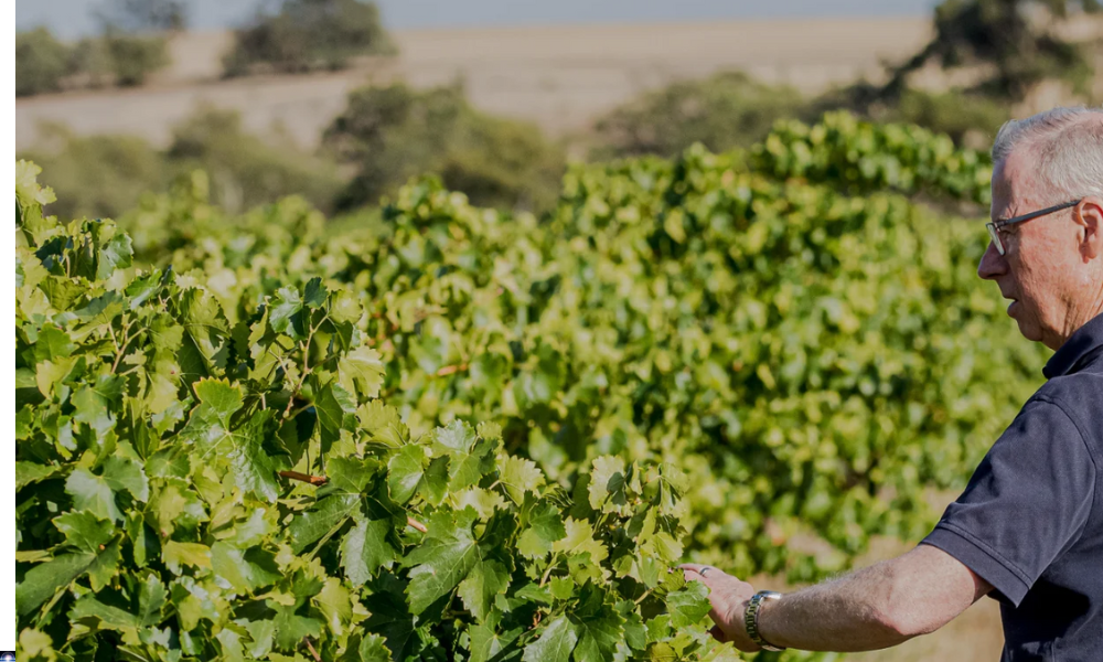 John Duval on Show - Specials & Tasting w/ Winemaker Tim Duval