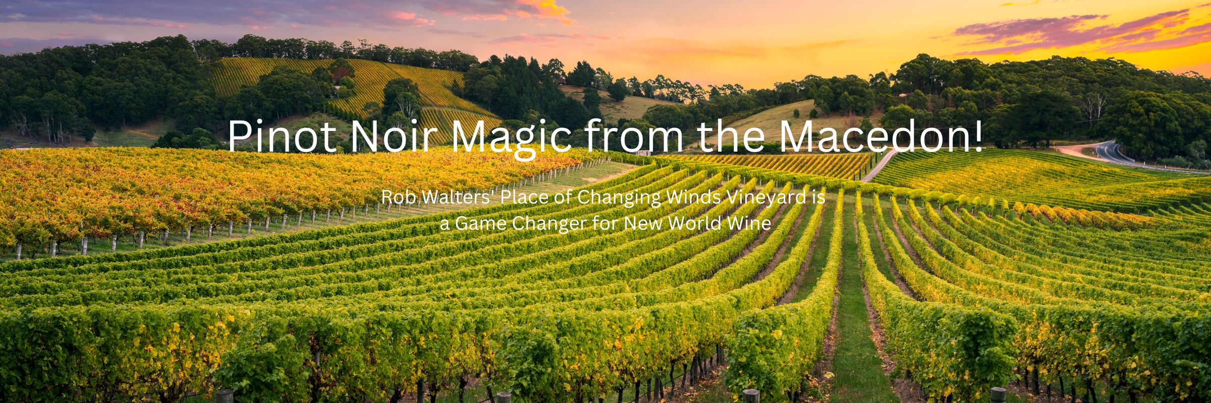 Pinot Noir Magic from the Macedon!