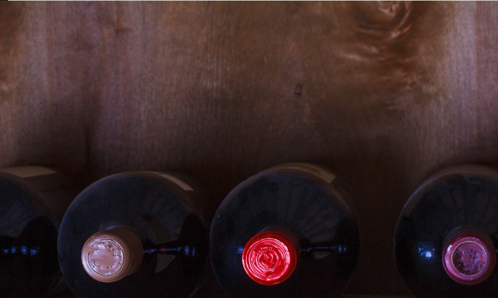 New Arrivals | 100 Pt. Terra Sancta, Savaterre, Pooley & More!