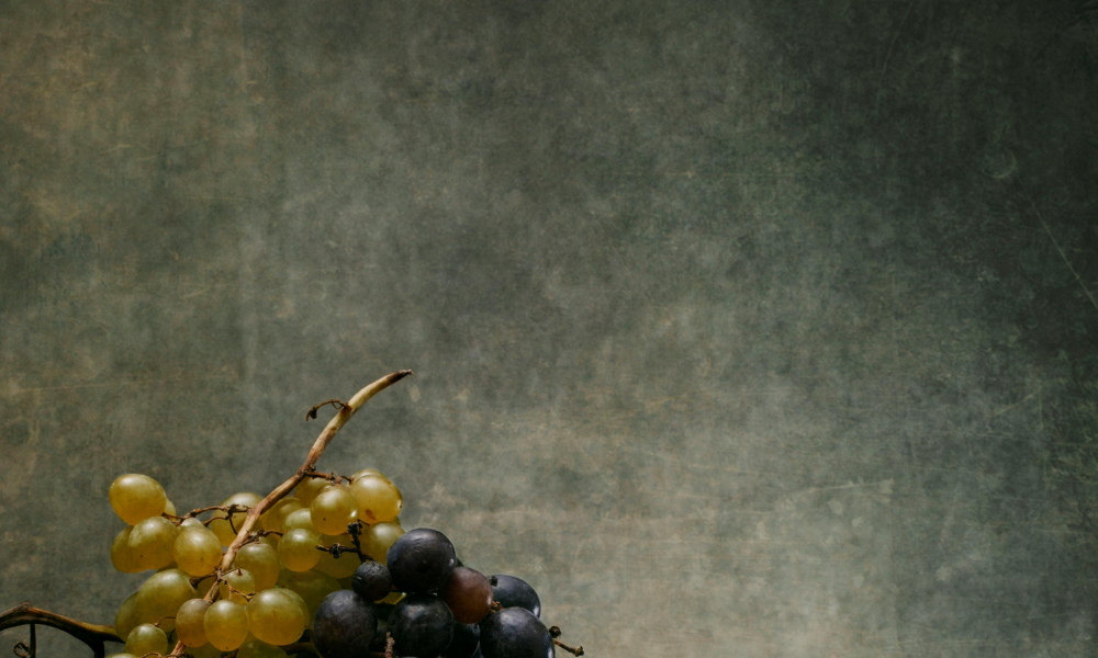 A Set of Great Names in the Spotlight |  Praeter Wines, Rouleur, Lino Ramble + Jim Barry All On Special & Tasting