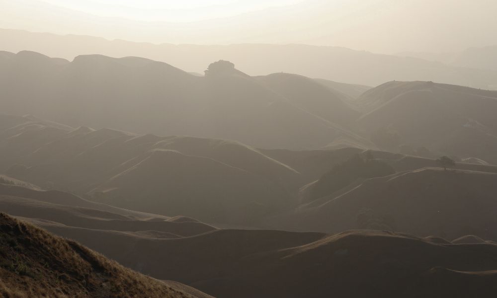 Te Mata - The Latest from the Hawkes Bay Icon w/ Specials & Tasting!