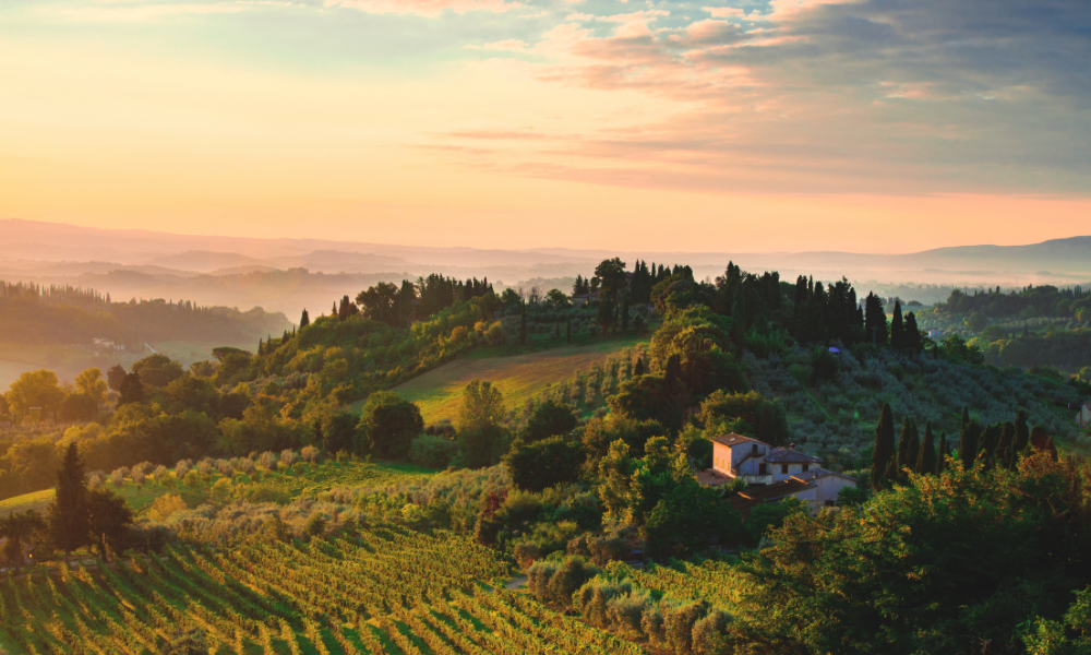 Big Brunello Names on Special!