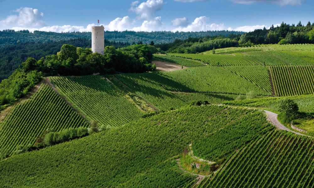 Robert Weil Rieslings on Tasting, Wednesday 3rd May!