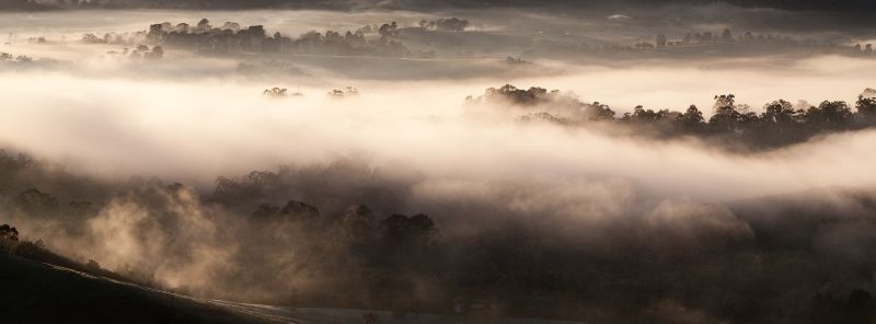 2019 Yarra Yering Spring Releases