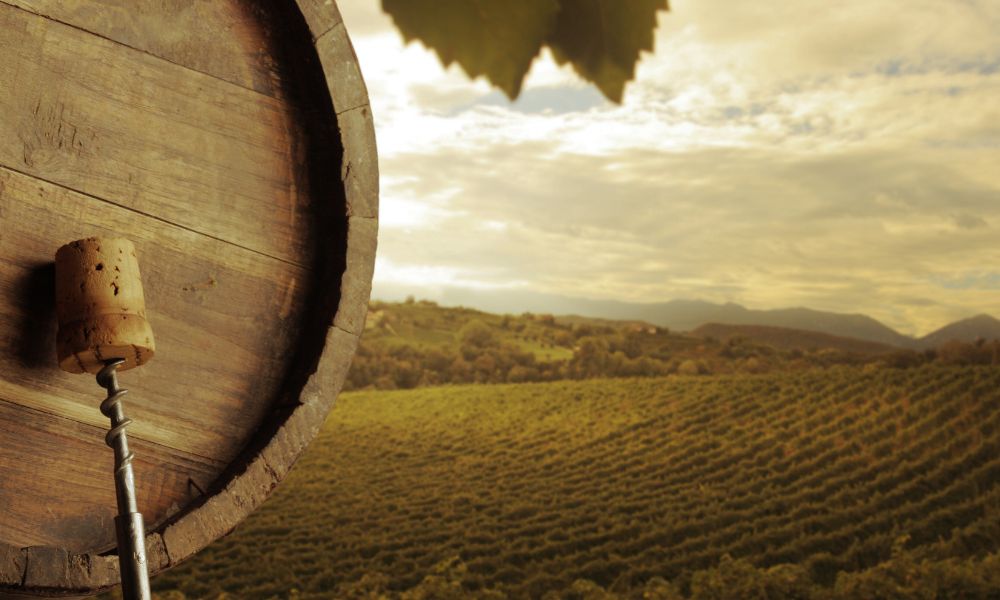 Father's Day Wines, Spirits & Glassware on Special! The Wine Emporium