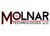 MOLNAR ROD BOLT: 3/8" x 1.600" ASYM ARP2000