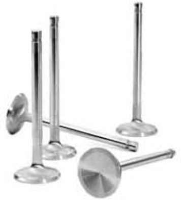 STAINLESS VALVE: HONDA B16/B18C INT +.5mm