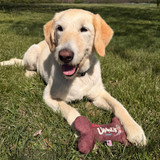 Dog laying on grass with plush bone toy placed between front paws