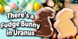 A Bunny Just Hopped Out of Uranus!