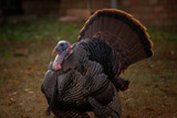 Thanksgiving Hostess Gifts They'll Actually Use (and Laugh At)