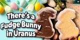 A Bunny Just Hopped Out of Uranus!