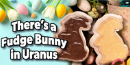 A Bunny Just Hopped Out of Uranus!