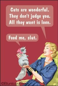 A retro style refrigerator magnet featuring a woman holding a cat with a funny, sarcastic dialogue bubble.