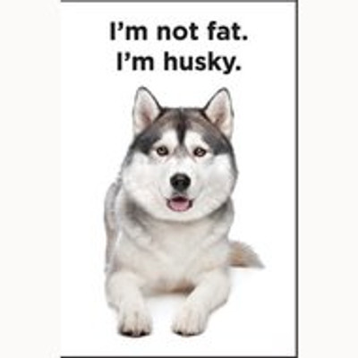 I'm Husky magnet  I'm Husky magnet