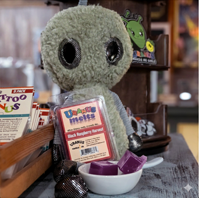 Display of Uranus Melts Black Raspberry Harvest wax melts resting in front of a plush alien doll inside the Uranus Fudge Factory & General Store, with a small bowl of purple wax cubes beside it.