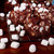 Rocky Road Fudge from Uranus on rack.