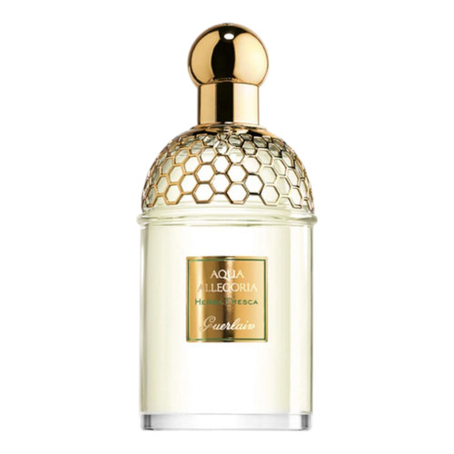 Guerlain Aqua Allegoria Herba Fresca Fragrance Samples Guerlain Aqua Allegoria Herba Fresca Fragrance Samples