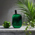 Comme des Garcons Amazingreen Fragrance Samples