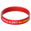 Alert! Nut Allergy 1 Red