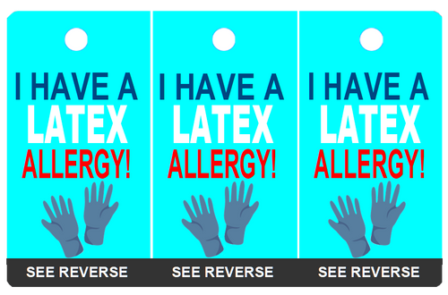 Latex Allergy Medical Alert Bag Tag / Key Fobs