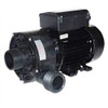 Jacuzzi J-400 Collection Circulation Pump