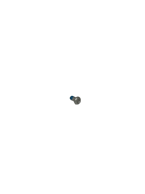 Milwaukee 05-81-2000 M5 x 10mm T-25 Screw