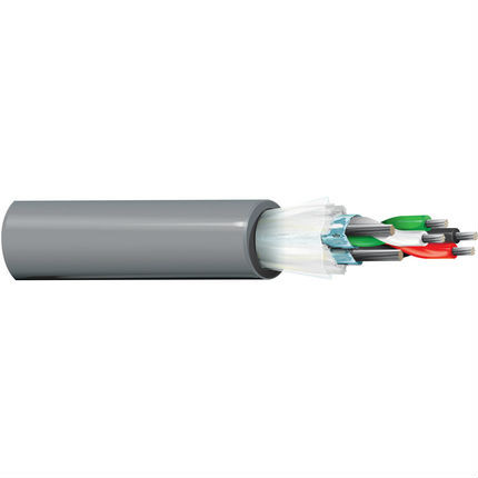 Belden 89729 24/2P RS-232/422 Low Cap Cable TC Individual Shielded CMP FEP/PVDF 300V Gray