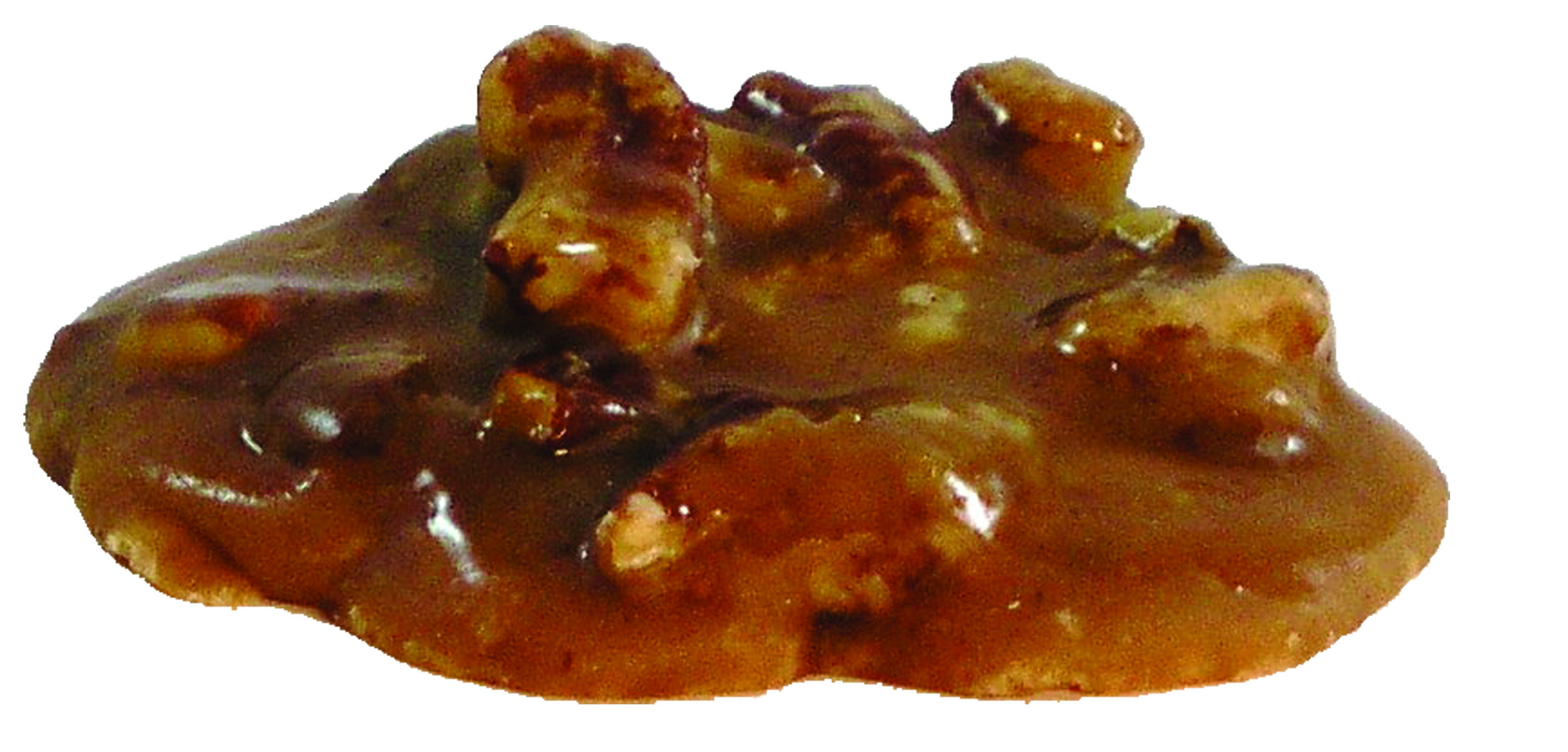 pecan-praline-1-copy.jpg