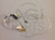 HP 14 G3 *RECERTIFIED* LCD VIDEO CABLE