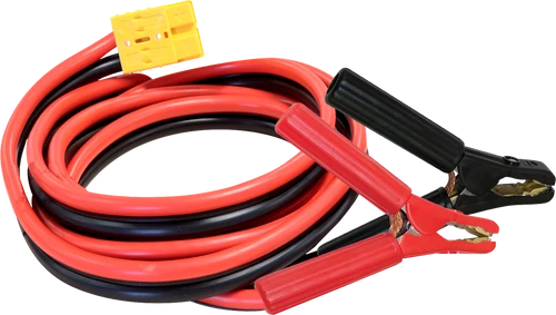 Chargeur GYSFLASH 100.12 HF (câbles 2,5 m) 