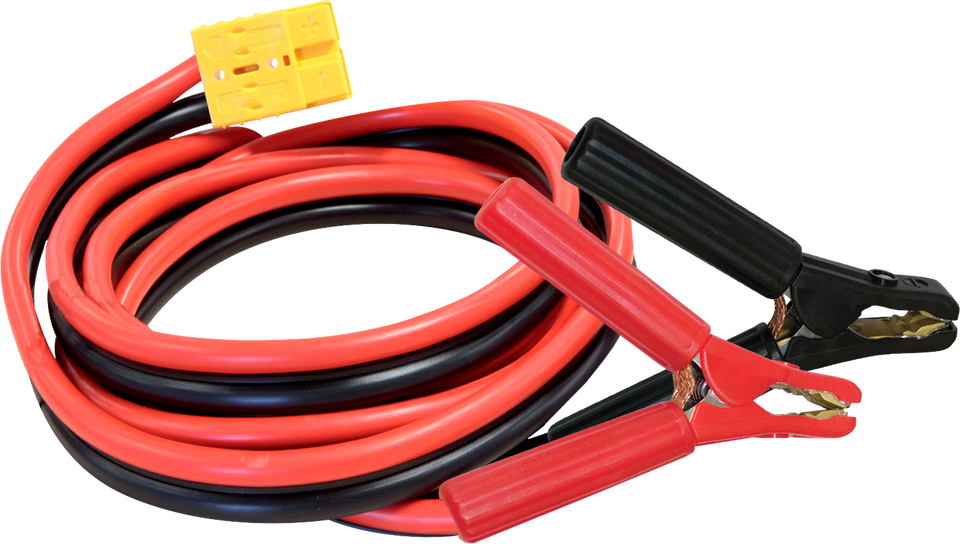 Chargeur GYSFLASH 100.12 HF (câbles 2,5 m) 