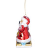 Dog Sled Santa