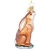 Brown Hare