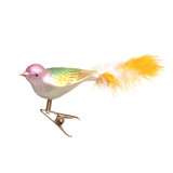 Pastel and Gold Bird