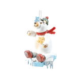 Frosty Polar Bear