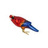 Red Parrot