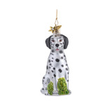 Dalmation