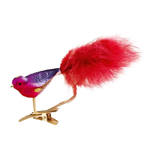 Pink, Purple and Gold Bird