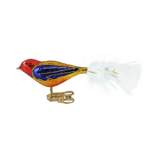 Yellow, Red and Purple Bird with White Tail