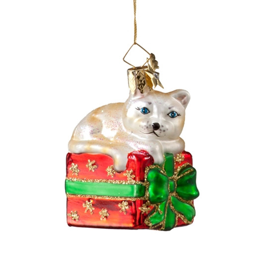Cat on Gift Box
