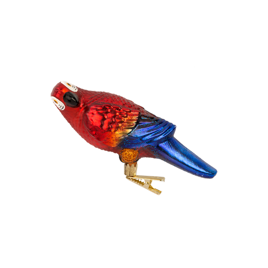 Red Parrot