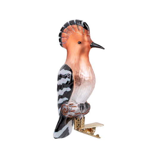 Hoopoe