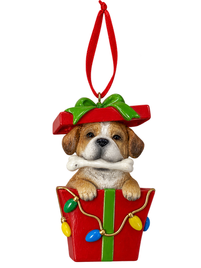 Dog in Gift