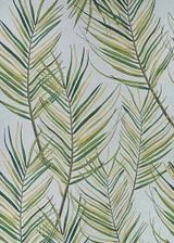 Dolce  Collection by Couristan